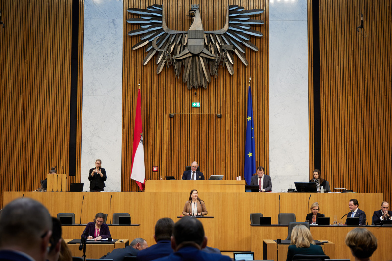 Am Redner:innenpult Nationalratsabgeordnete Karin Doppelbauer (NEOS)