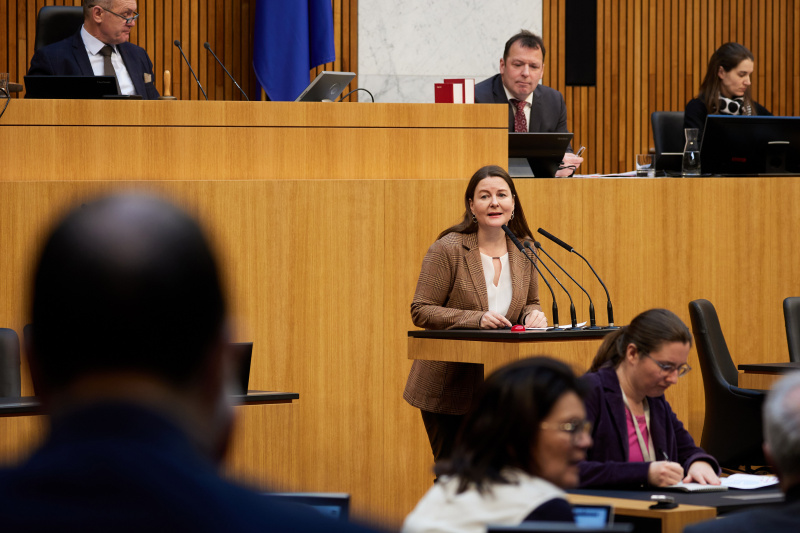 Am Redner:innenpult Nationalratsabgeordnete Karin Doppelbauer (NEOS)