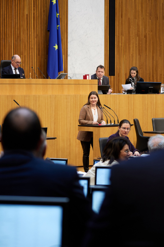 Am Redner:innenpult Nationalratsabgeordnete Karin Doppelbauer (NEOS)