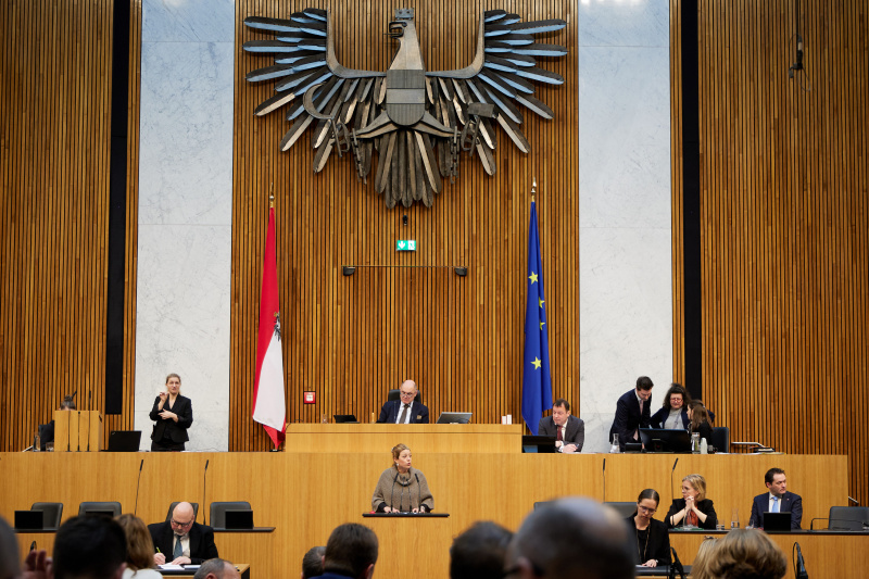 Am Redner:innenpult Nationalratsabgeordnete Katharina Kucharowits (SPÖ)