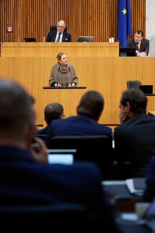 Am Redner:innenpult Nationalratsabgeordnete Katharina Kucharowits (SPÖ)