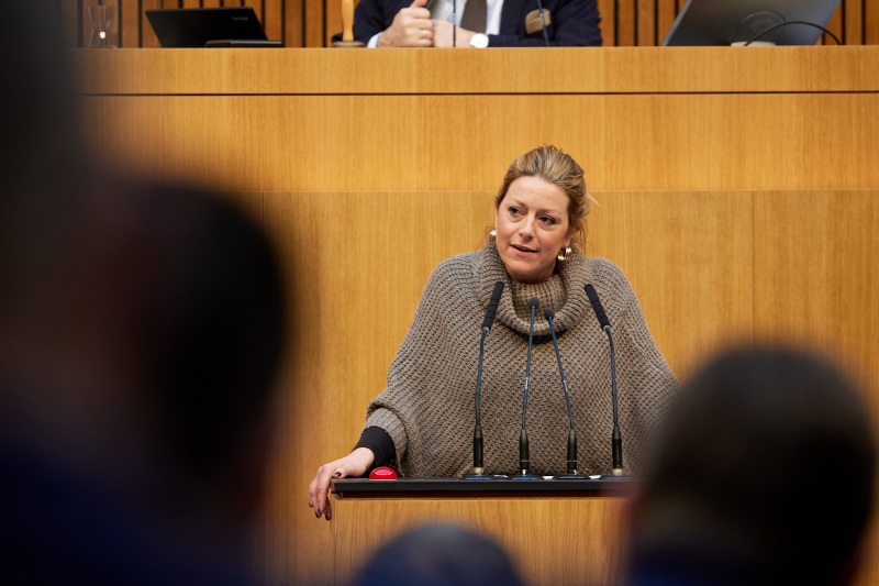 Am Redner:innenpult Nationalratsabgeordnete Katharina Kucharowits (SPÖ)