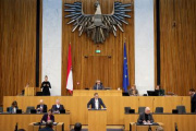 Am Redner:innenpult Nationalratsabgeordneter Markus Koza (GRÜNE)