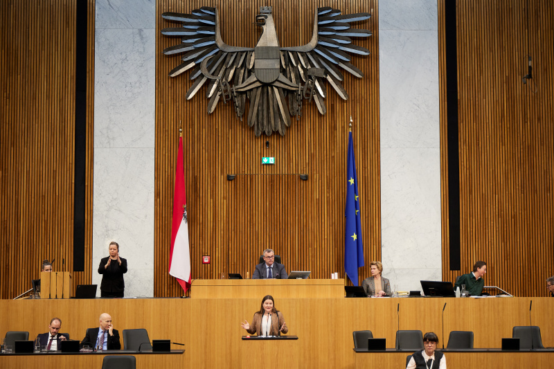 Am Redner:innenpult Nationalratsabgeordnete Karin Doppelbauer (NEOS)