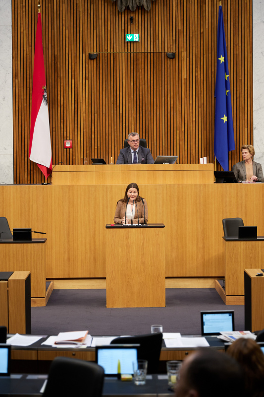 Am Redner:innenpult Nationalratsabgeordnete Karin Doppelbauer (NEOS)