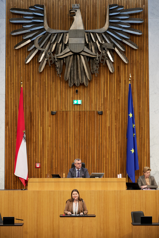 Am Redner:innenpult Nationalratsabgeordnete Karin Doppelbauer (NEOS)