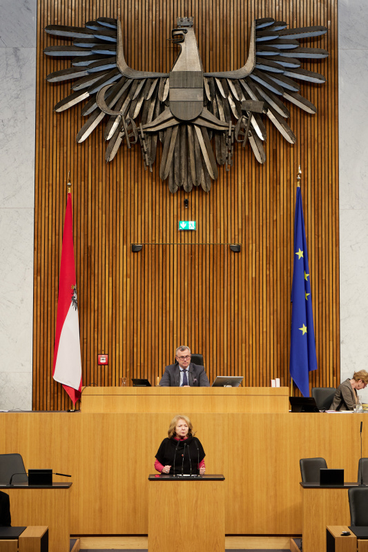 Am Redner:innenpult Nationalratsabgeordnete Ruth Becher (SPÖ)