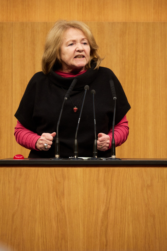 Am Redner:innenpult Nationalratsabgeordnete Ruth Becher (SPÖ)