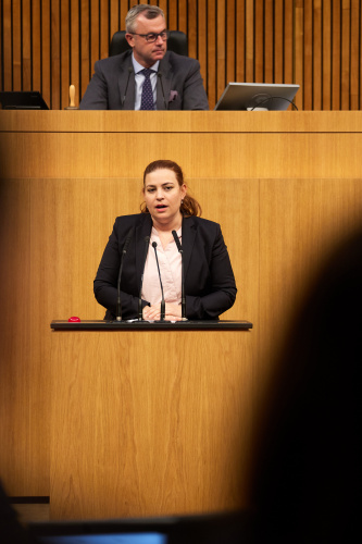 Am Redner:innenpult Nationalratsabgeordnete Nina Tomaselli (Grüne)