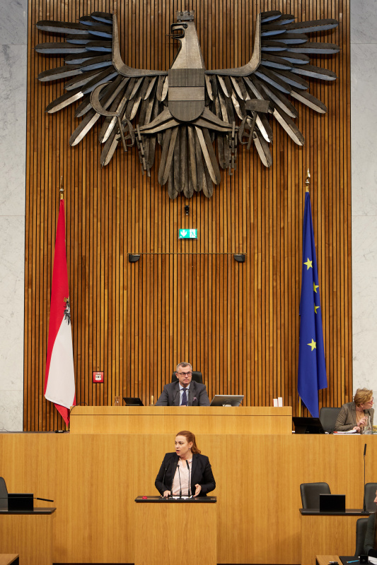 Am Redner:innenpult Nationalratsabgeordnete Nina Tomaselli (Grüne)