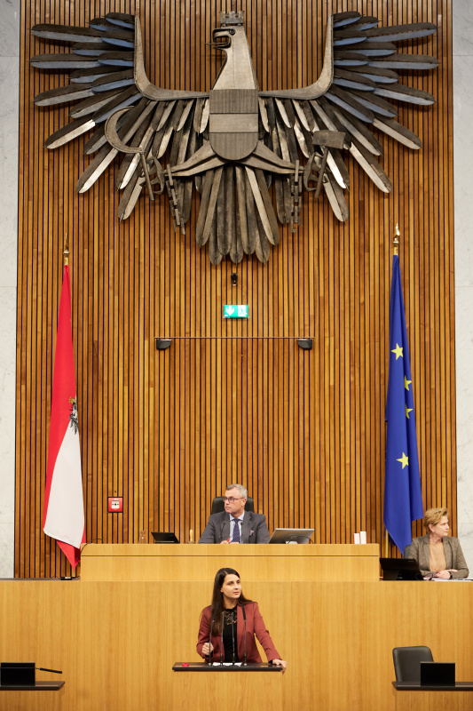 Am Redner:innenpult Nationalratsabgeordnete Meri Disoski (GRÜNE)