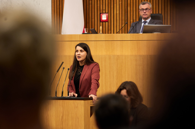 Am Redner:innenpult Nationalratsabgeordnete Meri Disoski (GRÜNE)