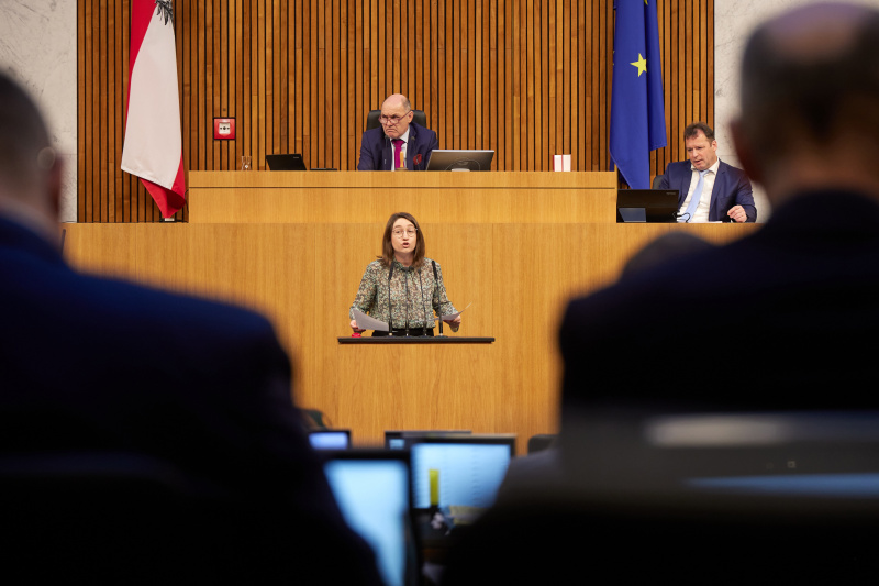 Am Rednerpult Nationalratsabgeordnete Julia Elisabeth Herr (SPÖ)