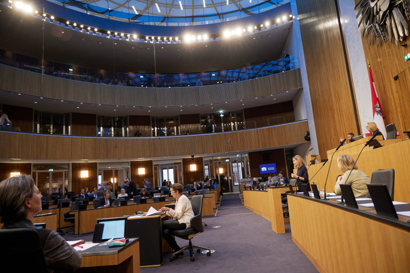 Am Rednerpult Abgeordnete zum EU-Parlament Claudia Gamon (NEOS)