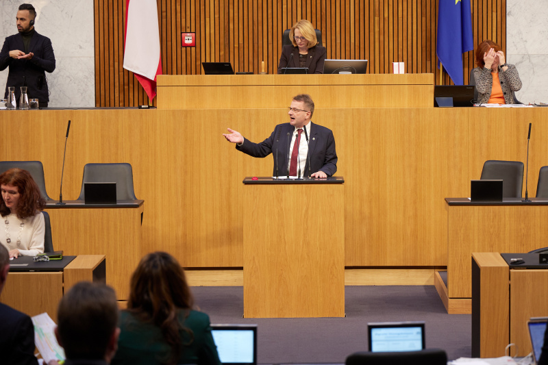Am Rednerpult Abgeordneter zum EU-Parlament Hannes Heide (SPÖ)
