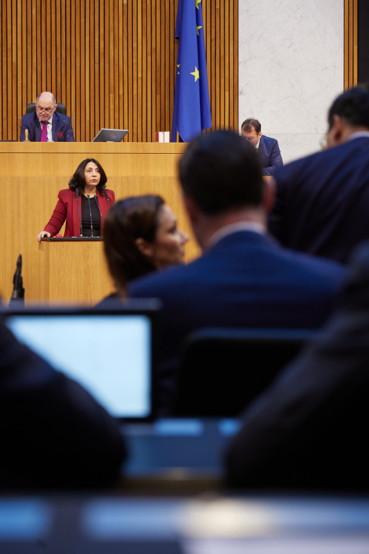 Am Rednerpult Nationalratsabgeordnete Selma Yildirim (SPÖ)