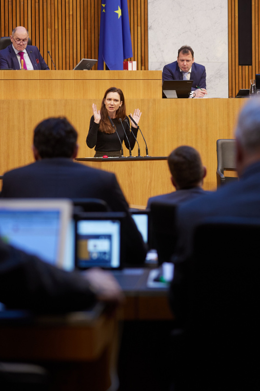 Am Rednerpult Nationalratsabgeordnete Susanne Fürst (FPÖ)