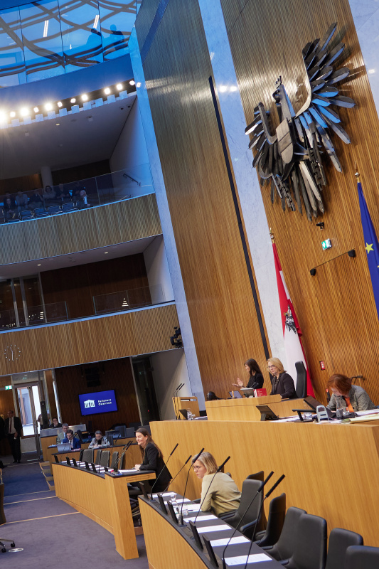 Am Rednerpult Nationalratsabgeordnete Karin Doppelbauer (NEOS)