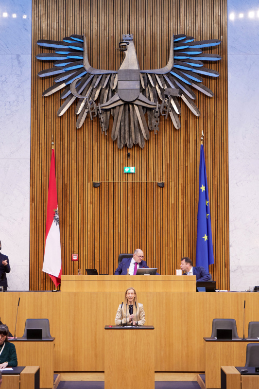 Am Redner:innenpult Nationalratsabgeordnete Agnes Sirkka Prammer (GRÜNE)