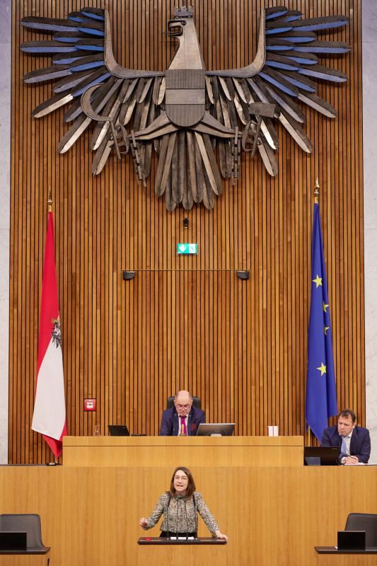 Am Redner:innenpult Nationalratsabgeordnete Julia Elisabeth Herr (SPÖ)