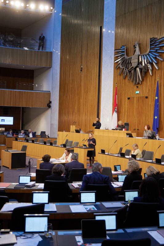 Am Rednerpult Abgeordnete zum EU-Parlament Claudia Gamon (NEOS)