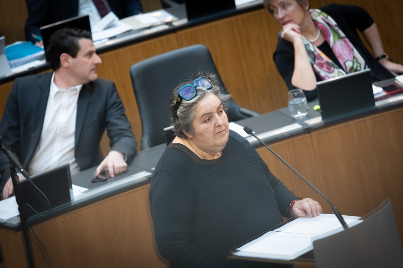 Nationalratsabgeordnete Eva Blimlinger (GRÜNE) am Rednerpult