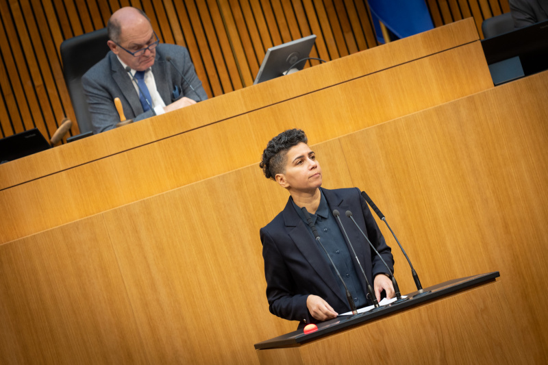 Nationalratsabgeordnete Faika El-Nagashi (GRÜNE) am Rednerpult