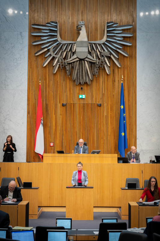 Nationalratsabgeordnete Katharina Werner (NEOS) am Rednerpult