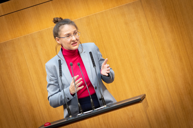 Nationalratsabgeordnete Katharina Werner (NEOS) am Rednerpult