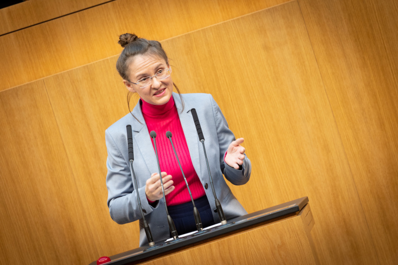 Nationalratsabgeordnete Katharina Werner (NEOS) am Rednerpult