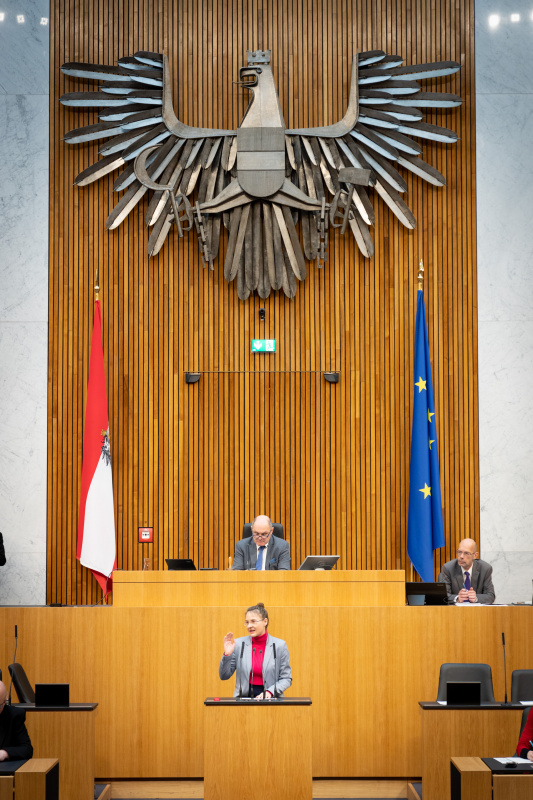Nationalratsabgeordnete Katharina Werner (NEOS) am Rednerpult