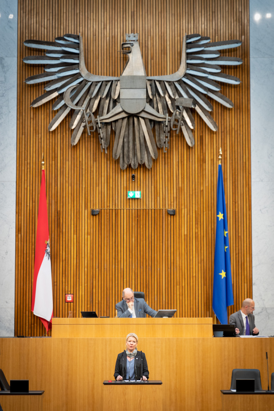 Nationalratsabgeordnete Irene Neumann-Hartberger (ÖVP) am Rednerpult