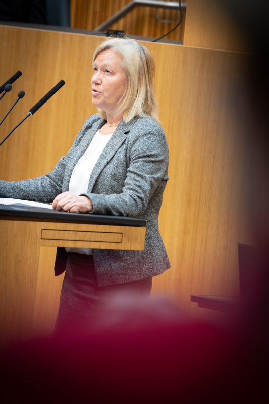 Nationalratsabgeordnete Verena Nussbaum (SPÖ) am Rednerpult