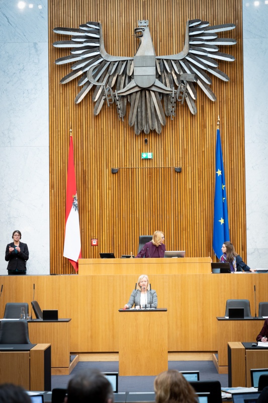 Nationalratsabgeordnete Verena Nussbaum (SPÖ) am Rednerpult