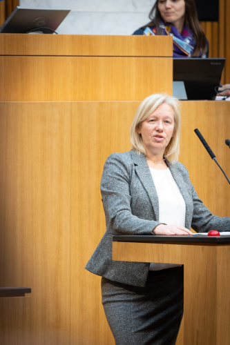 Nationalratsabgeordnete Verena Nussbaum (SPÖ) am Rednerpult
