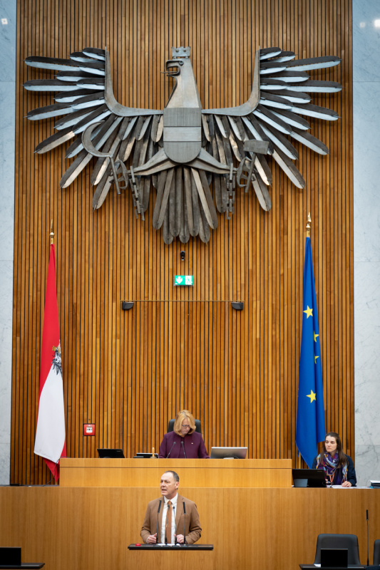 Nationalratsabgeordneter Peter Wurm (FPÖ) am Rednerpult, Zweite Nationalratspräsidentin Doris Bures (SPÖ) am Präsidium