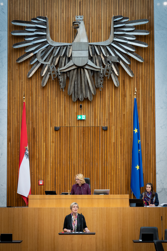 Nationalratsabgeordnete Michaela Steinacker (ÖVP) am Rednerpult, , Zweite Nationalratspräsidentin Doris Bures (SPÖ) am Präsidium