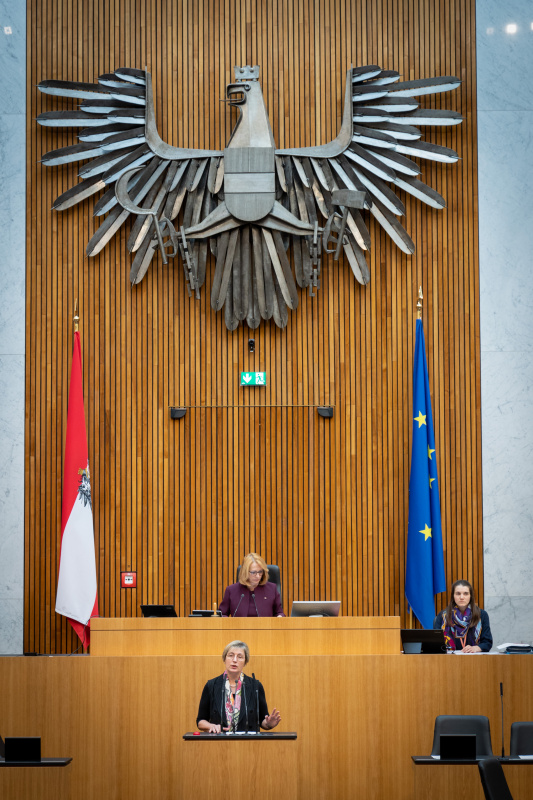 Nationalratsabgeordnete Michaela Steinacker (ÖVP) am Rednerpult, , Zweite Nationalratspräsidentin Doris Bures (SPÖ) am Präsidium