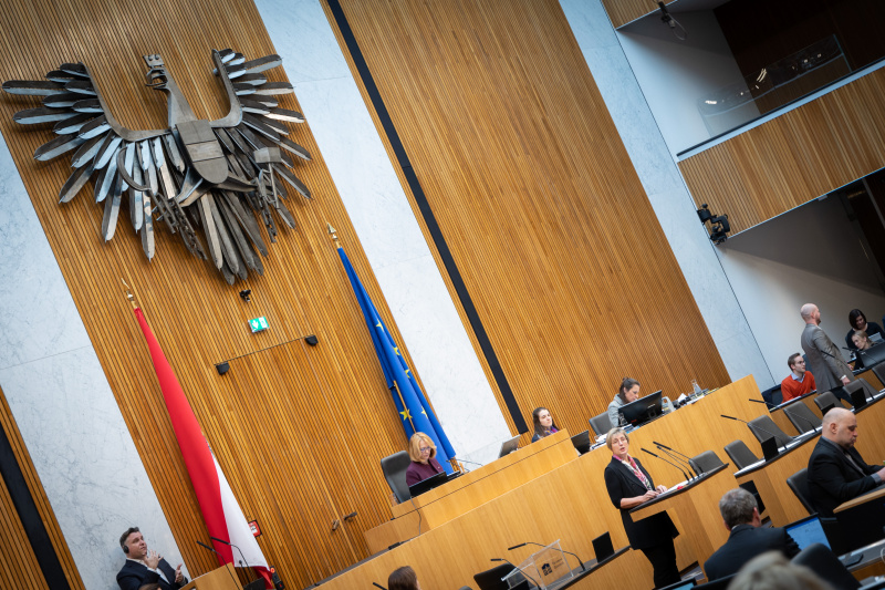 Nationalratsabgeordnete Michaela Steinacker (ÖVP) am Rednerpult, , Zweite Nationalratspräsidentin Doris Bures (SPÖ) am Präsidium