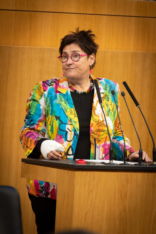 Nationalratsabgeordnete Petra Bayr (SPÖ) am Rednerpult