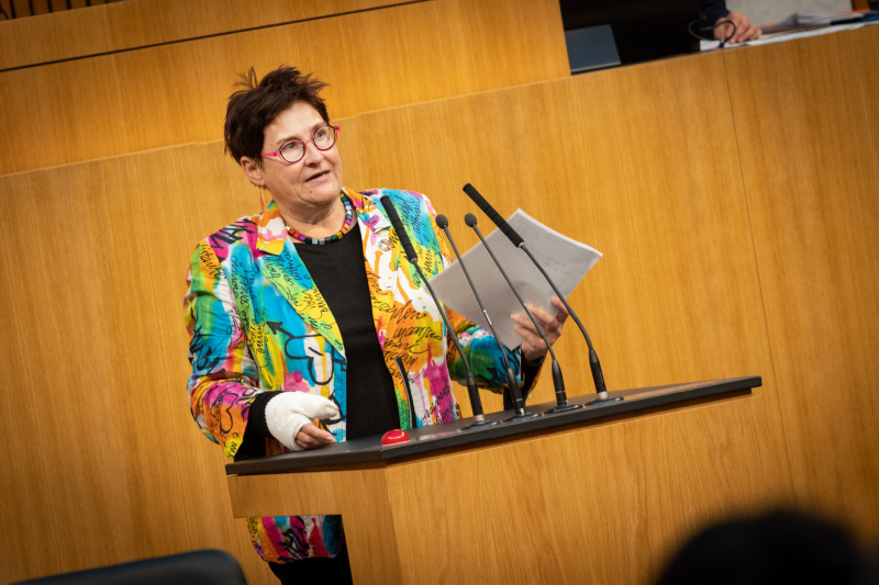 Nationalratsabgeordnete Petra Bayr (SPÖ) am Rednerpult