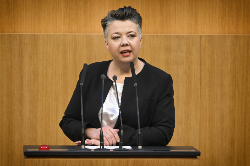 Am Rednerpult: Nationalratsabgeordnete Olga Voglauer (GRÜNE)