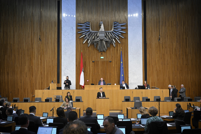 Am Rednerpult: Nationalratsabgeordnete Olga Voglauer (GRÜNE). Blick Richtung Sitzungsteilnehmer:innen