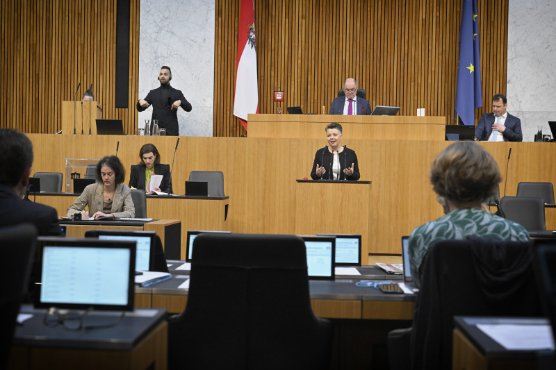 Am Rednerpult: Nationalratsabgeordnete Olga Voglauer (GRÜNE)