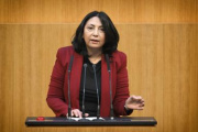Am Rednerpult: Nationalratsabgeordnete Selma Yildirim (SPÖ)