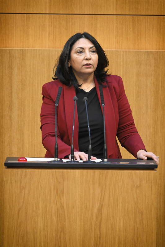 Am Rednerpult: Nationalratsabgeordnete Selma Yildirim (SPÖ)