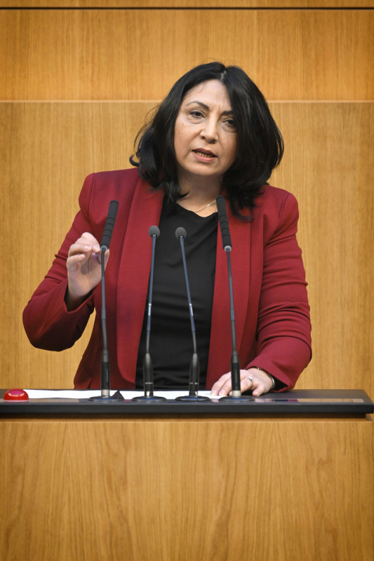Am Rednerpult: Nationalratsabgeordnete Selma Yildirim (SPÖ)