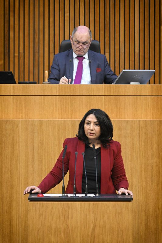 Am Rednerpult: Nationalratsabgeordnete Selma Yildirim (SPÖ)