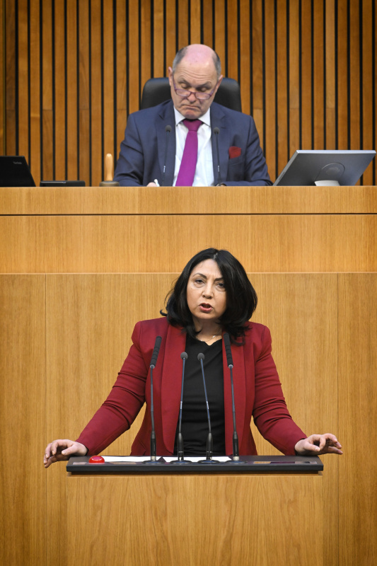 Am Rednerpult: Nationalratsabgeordnete Selma Yildirim (SPÖ)