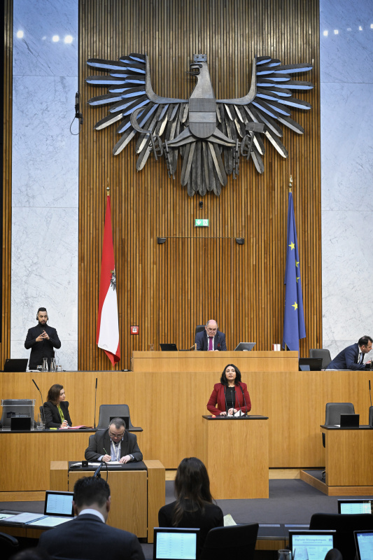 Am Rednerpult: Nationalratsabgeordnete Selma Yildirim (SPÖ)